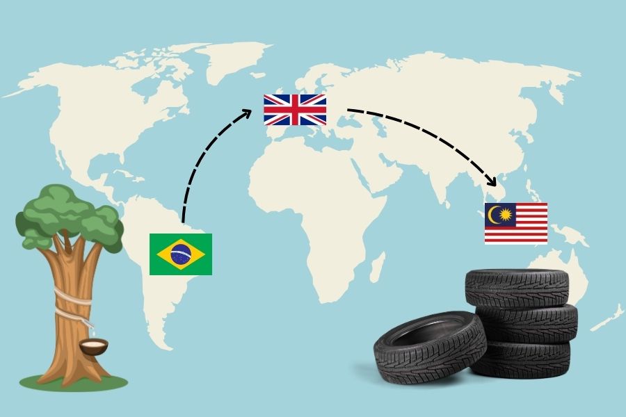 Lịch sử cao su toàn cầu: Hành trình từ Nam Mỹ đến Đông Nam Á