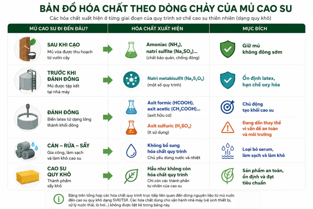 Hóa chất trong sơ chế cao su thiên nhiên